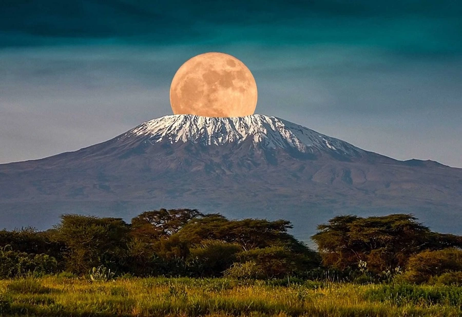 Покорить вершину Килиманджаро с предварительной аппаратной адаптацией